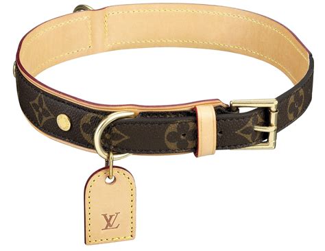 louis vuitton collar perro|faux louis vuitton dog collar.